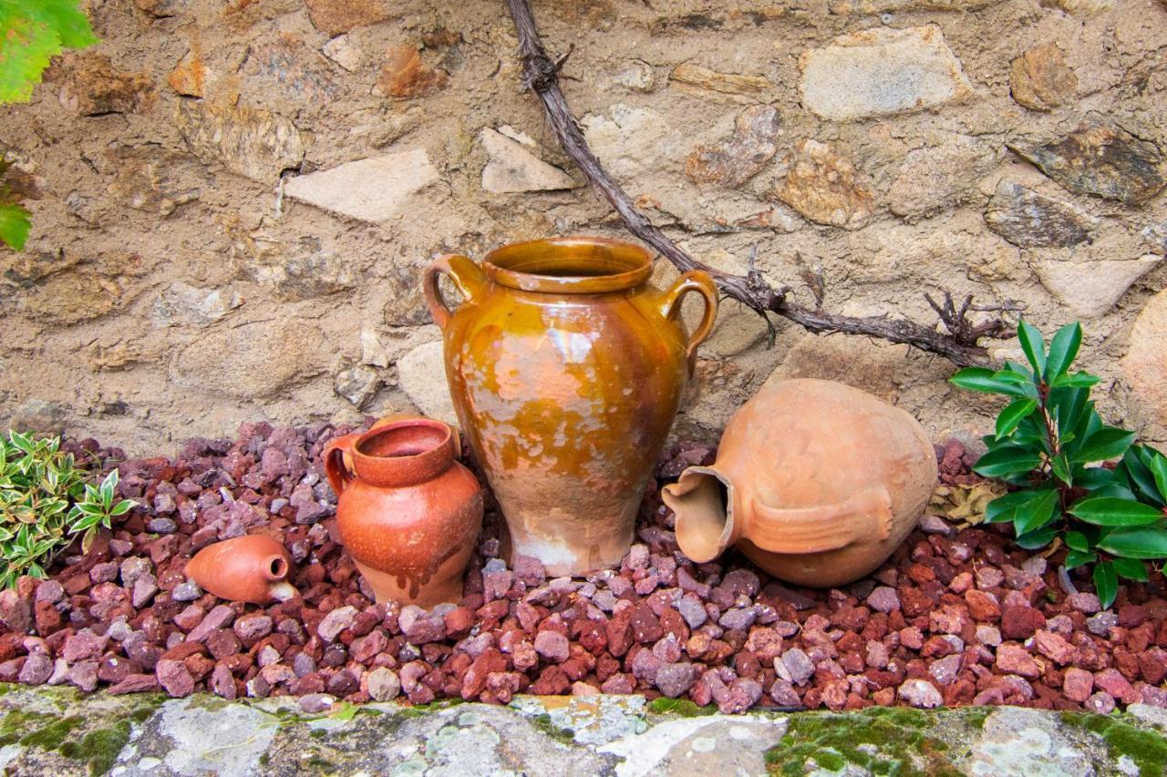 La Casita De Las Hortensias Ortigosa del Monte Exterior foto